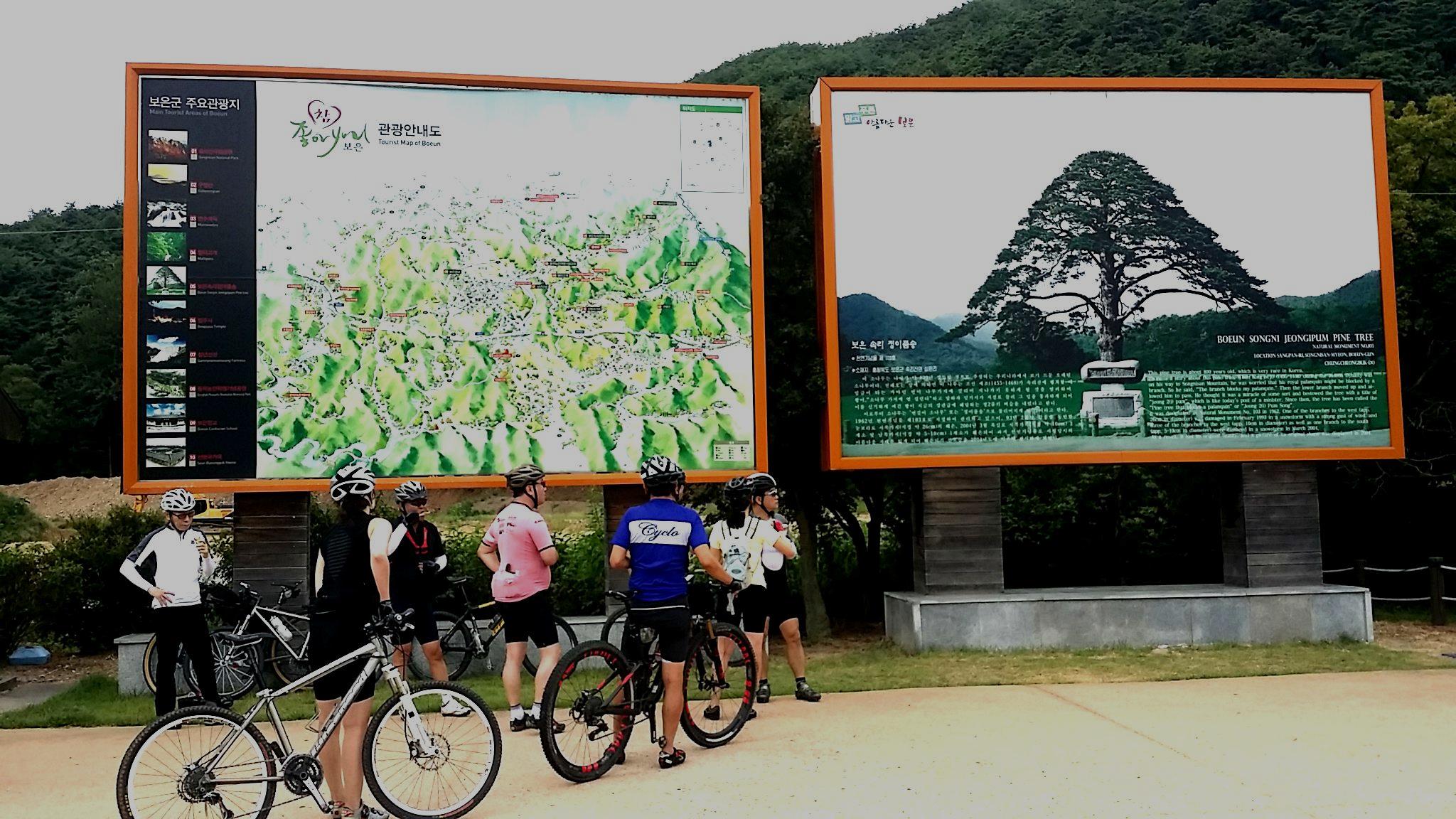 Cyclists on a Korean Tour